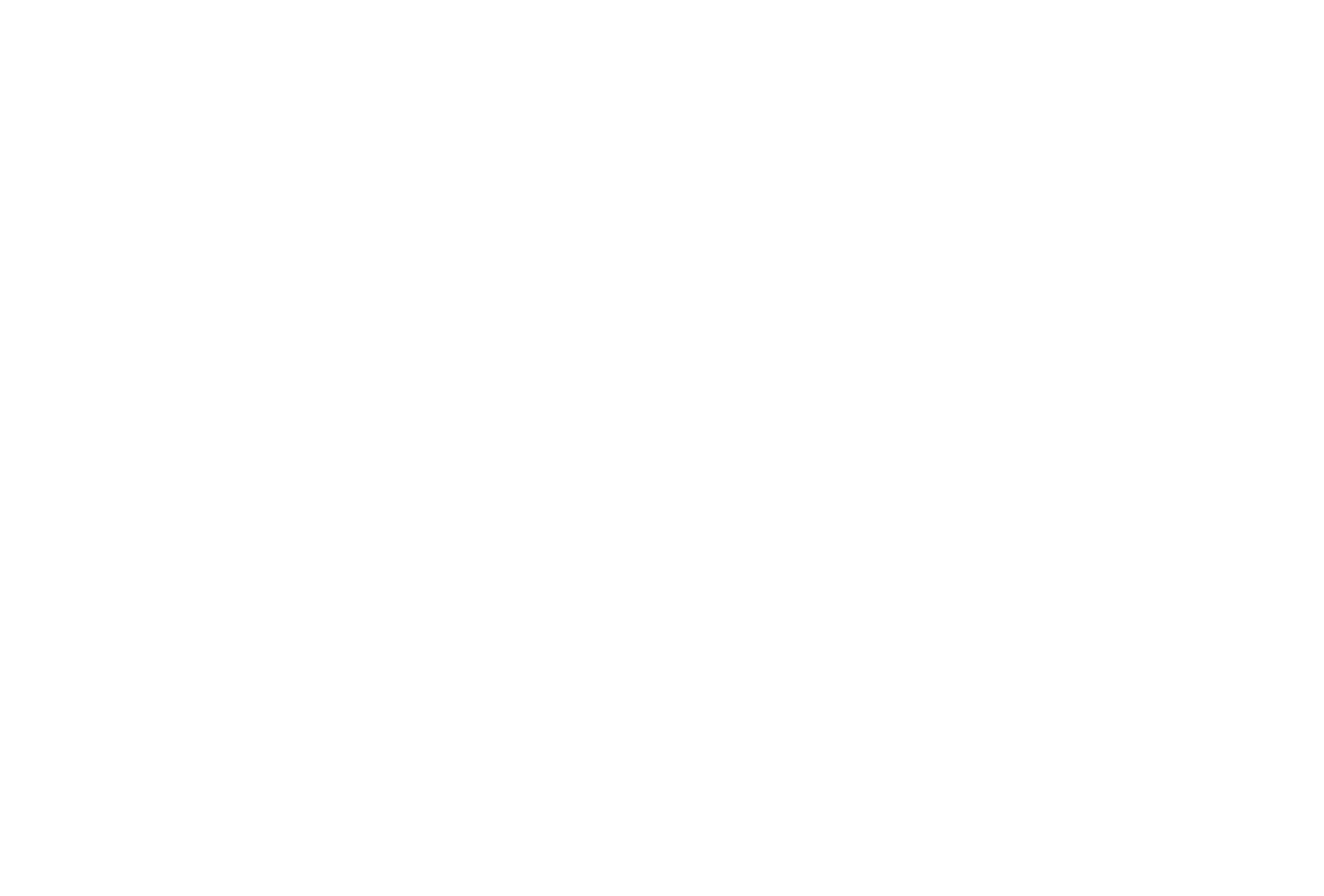 Destiny Bidets